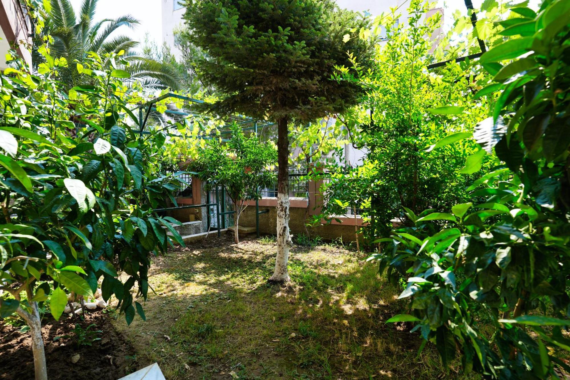 The View Rooms And Terrace Αργυρόκαστρο Εξωτερικό φωτογραφία